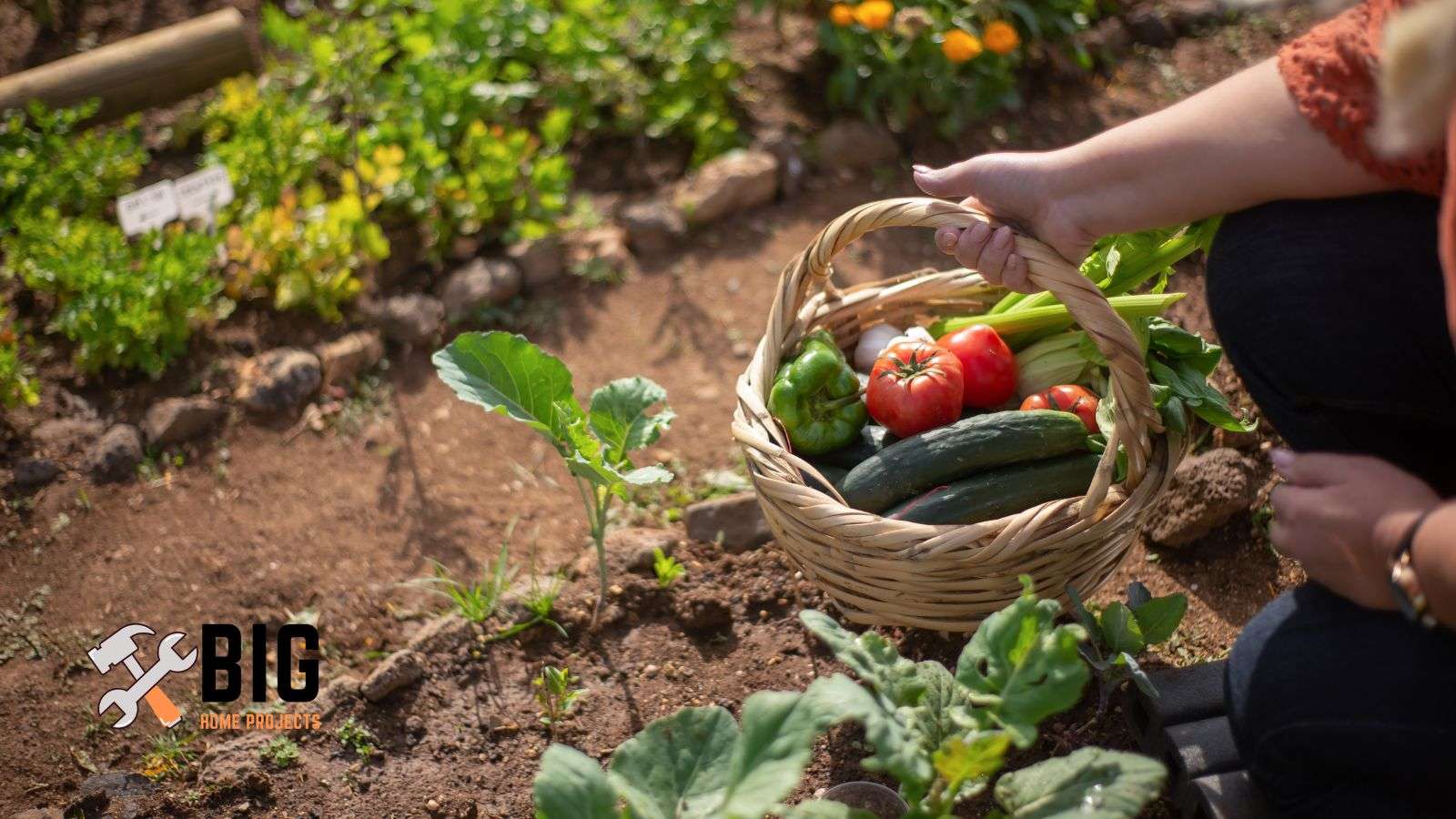 Lady holding vegetable basket - bighomeprojects.com