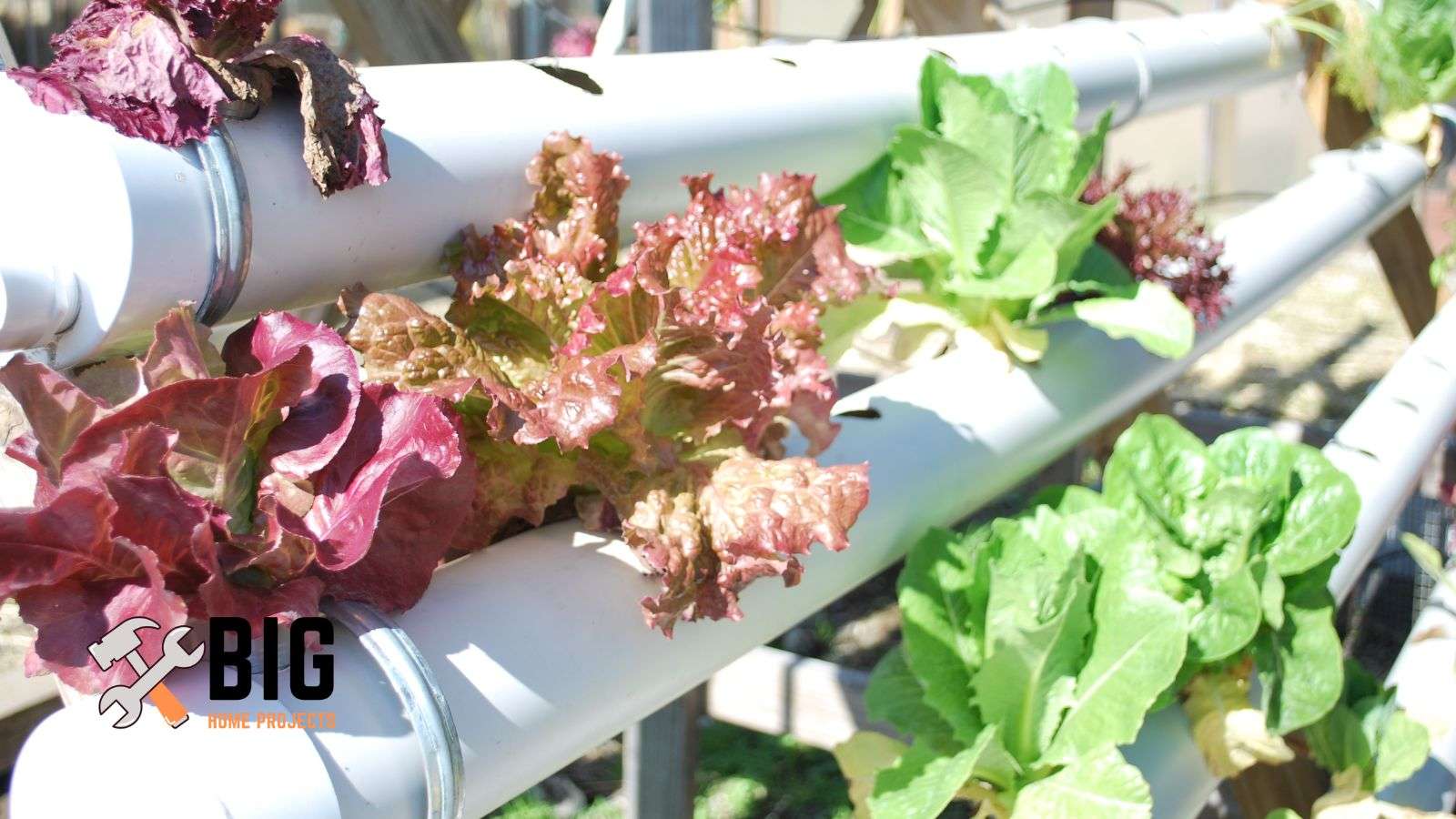 Plumbing gardening - bighomeprojects.com