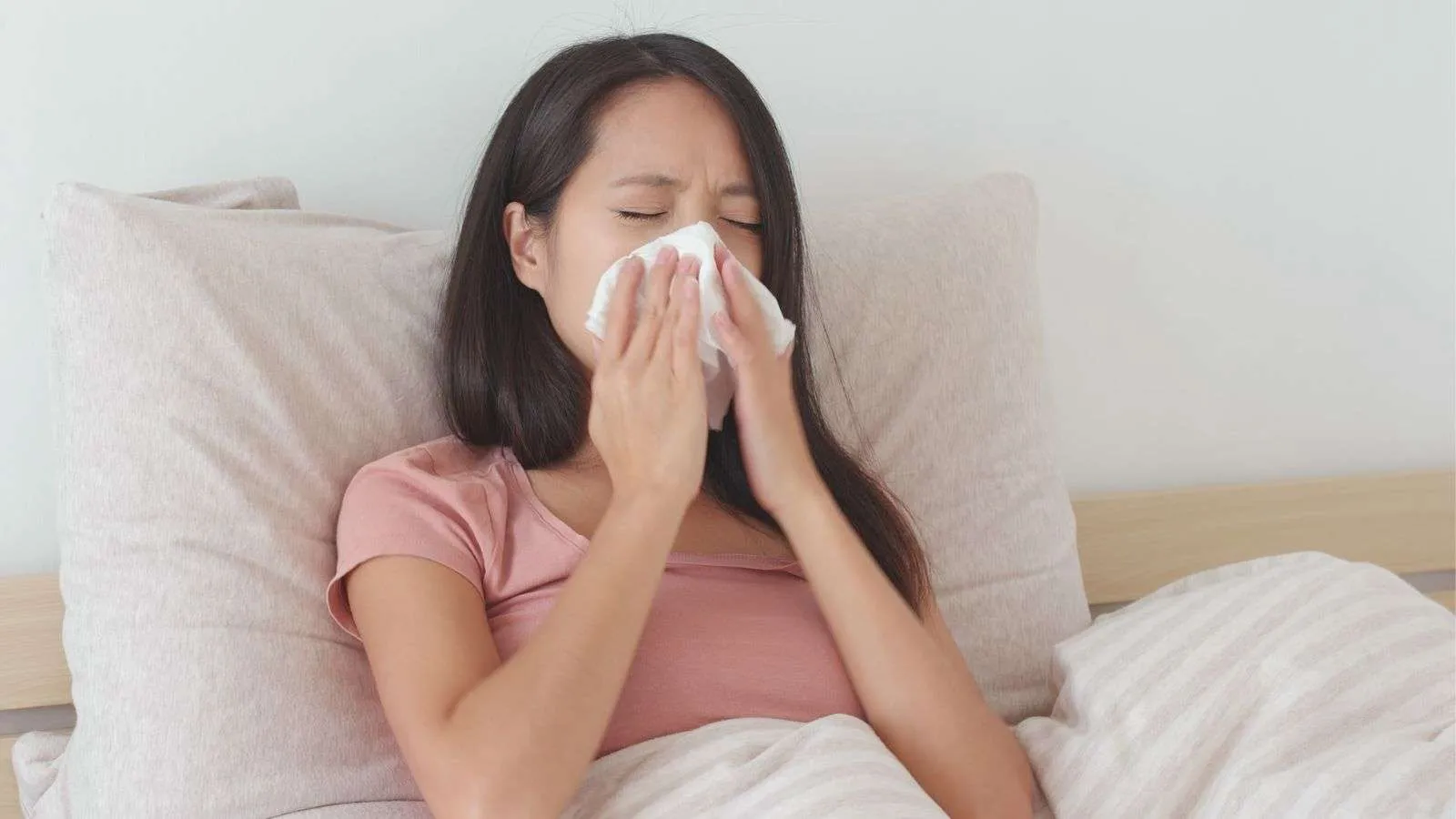 Allergies at home - bighomeprojects.com