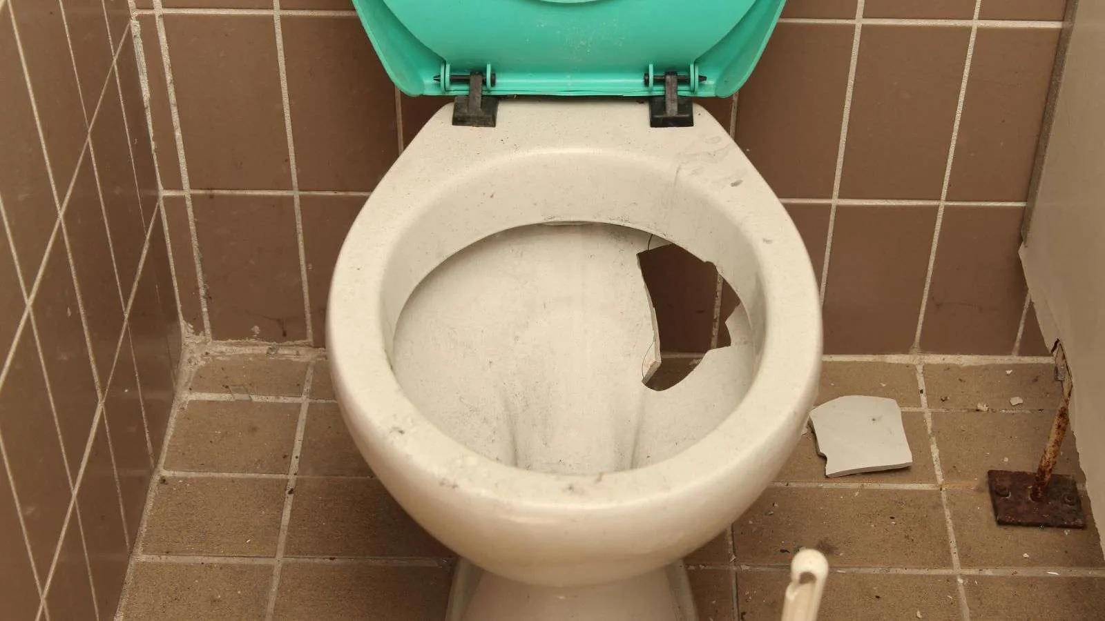 How To Repair A Broken Toilet at Bertha Prater blog