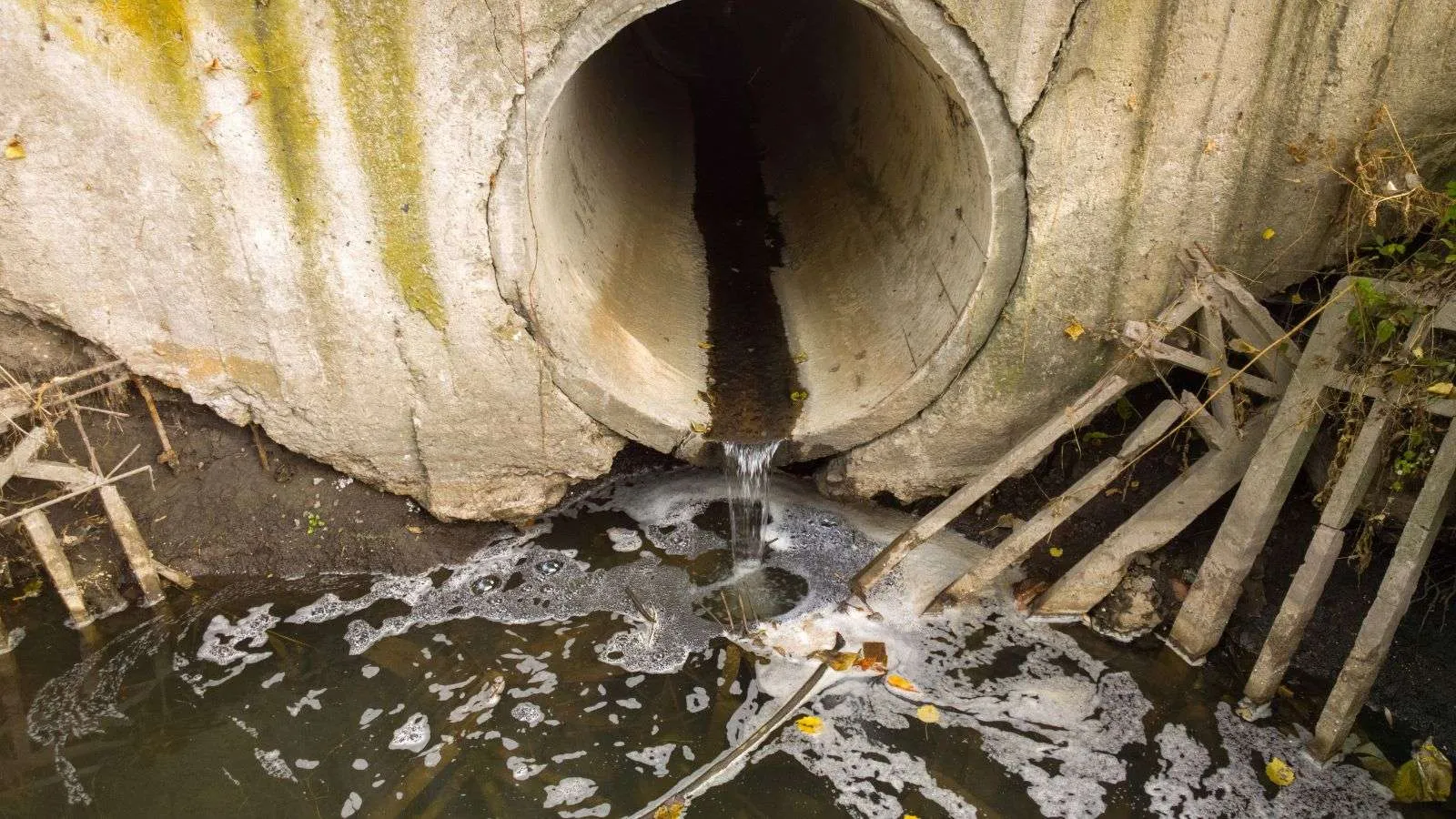 Sewer problem affecting the home - bighomeprojects.com