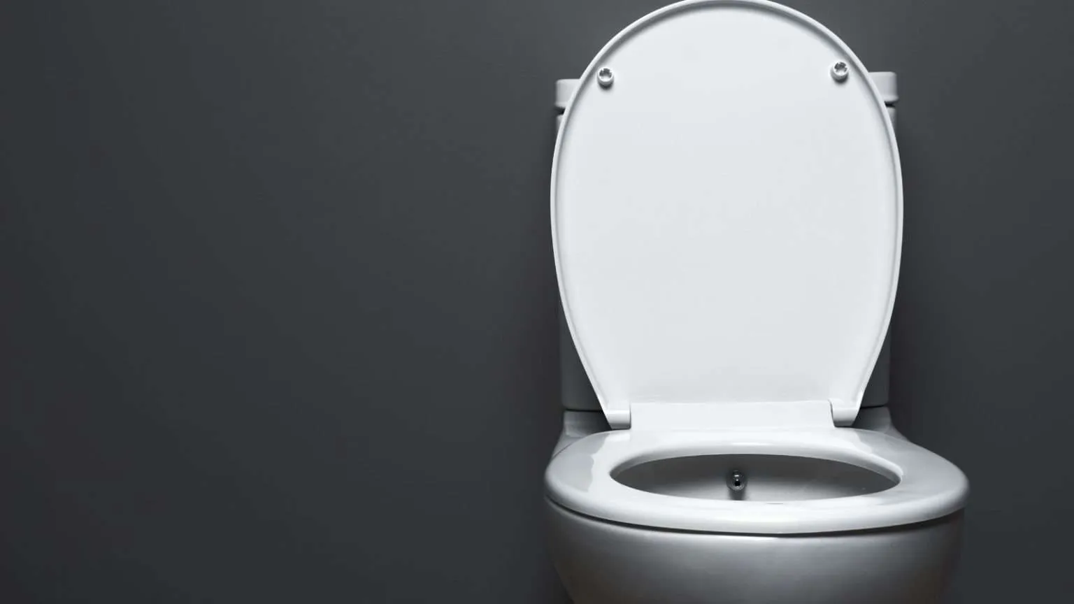 LowFlow Toilets vs Regular Toilets 5 Key Differences Big Home Projects