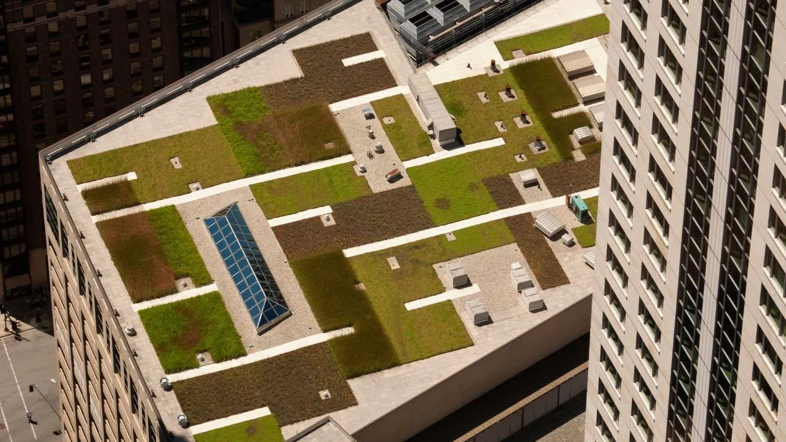 different green roof systems - bighomeprojects.com