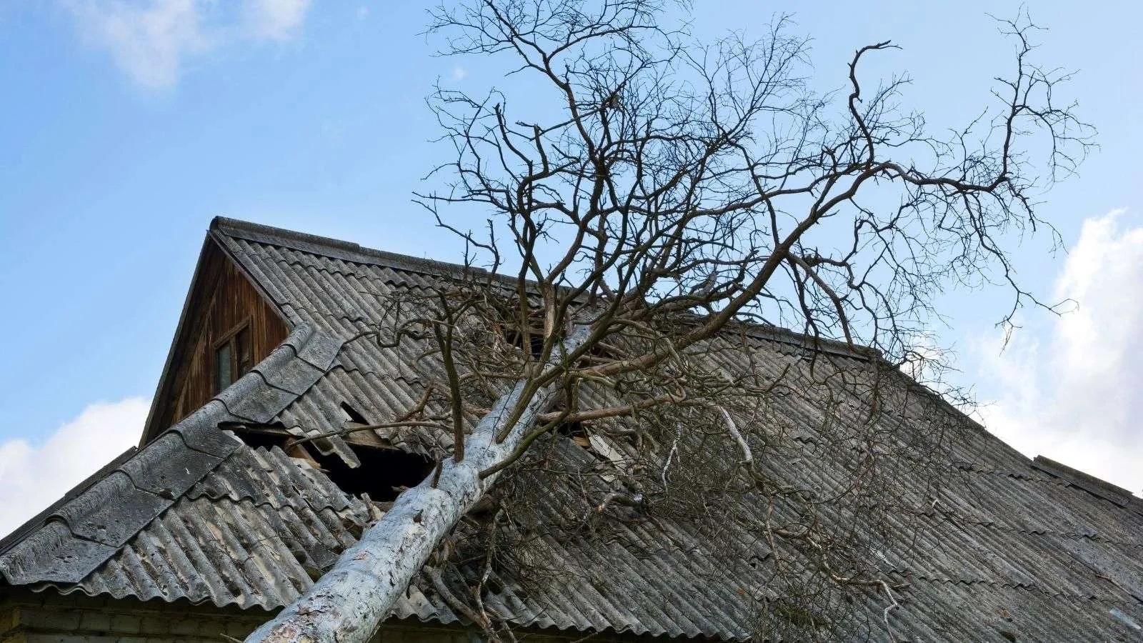 tree branches falling on roof - bighomeprojects.com