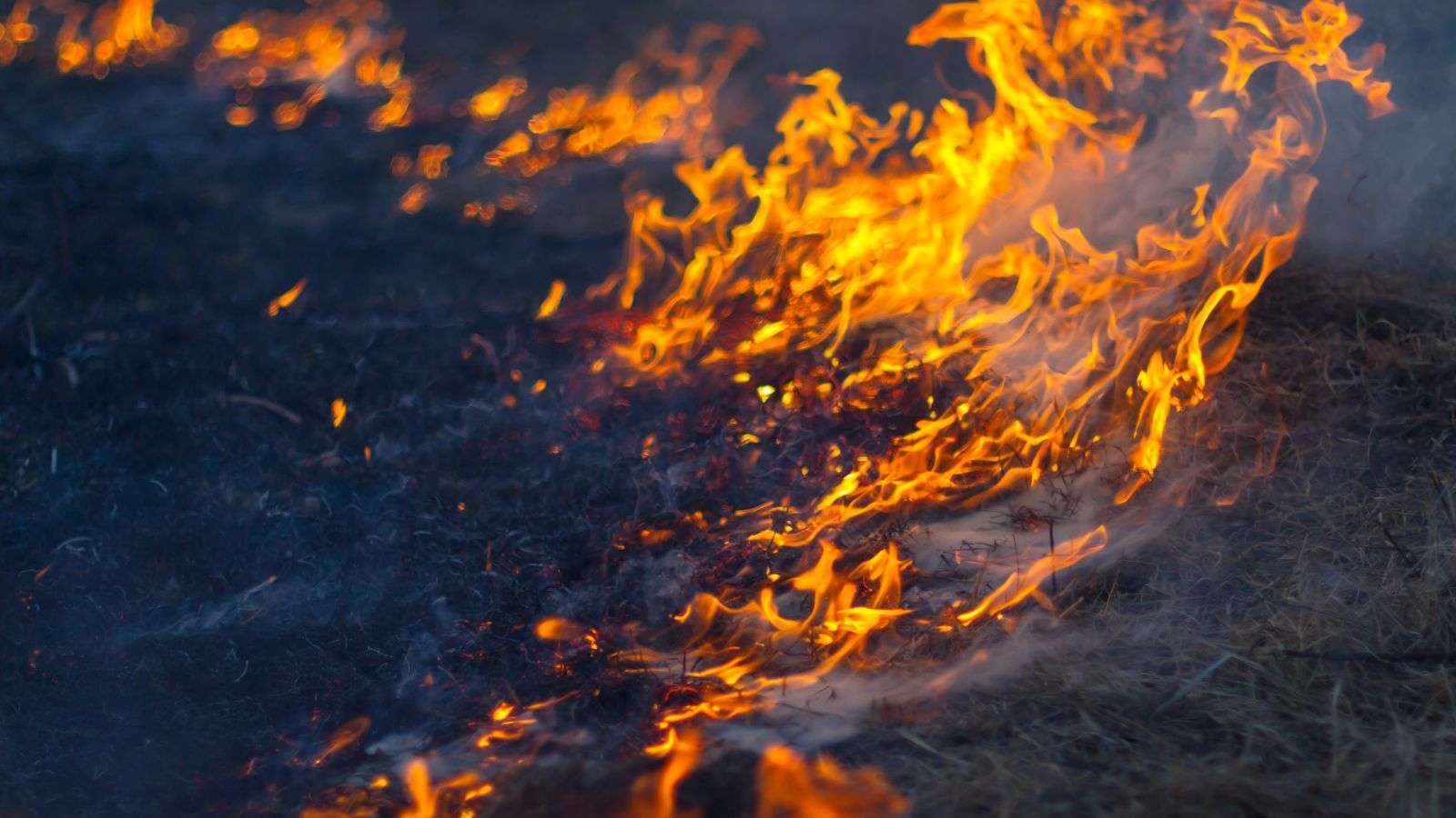 wildfires - bighomeprojects.com