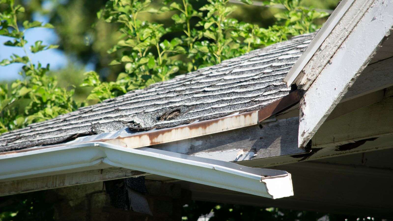 Protect your roof against drought damage - bighomeprojects.com