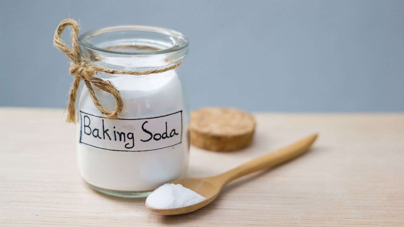 how to kill roaches with baking soda - bighomeprojects.com