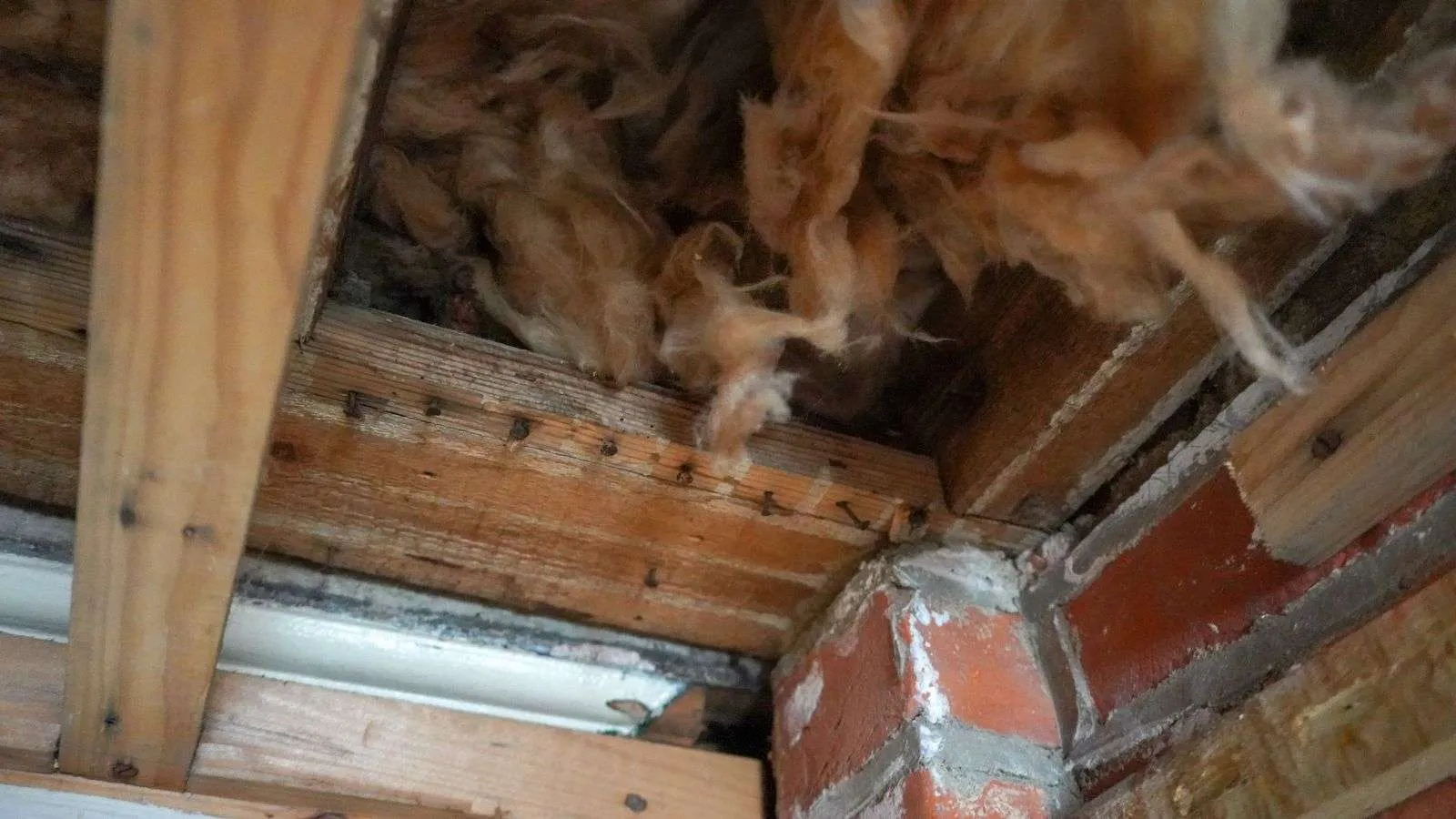 hiding roaches in ceiling voids - bighomeprojects.com