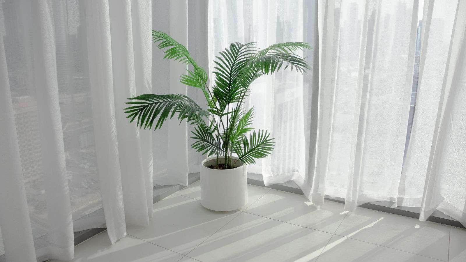 Impact on Indoor Plants from Roach Activity: 5 Strategies to Protect Them