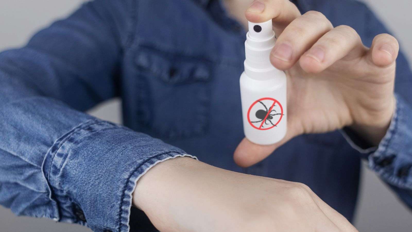 Ineffective Repellents Against Roaches: 7 Common Mistakes to Avoid