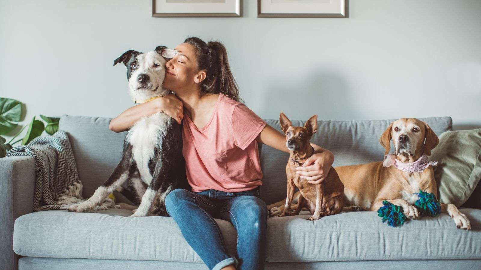 Pet Habitat Access by Roaches: 7 Critical Issues and Prevention Tips