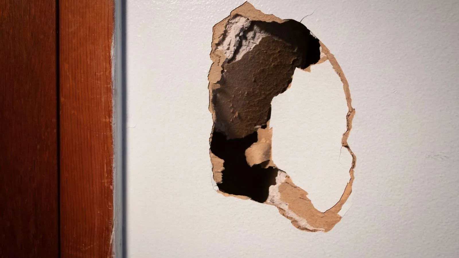 Roach Infestations Hidden In Walls 6 Key Insights To Detect And Eliminate Big Home Projects