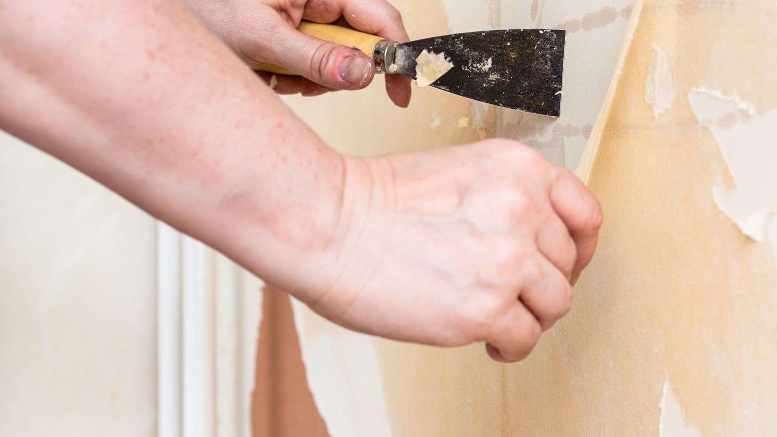 roach-related damage to wallpapers - bighomeprojects.com