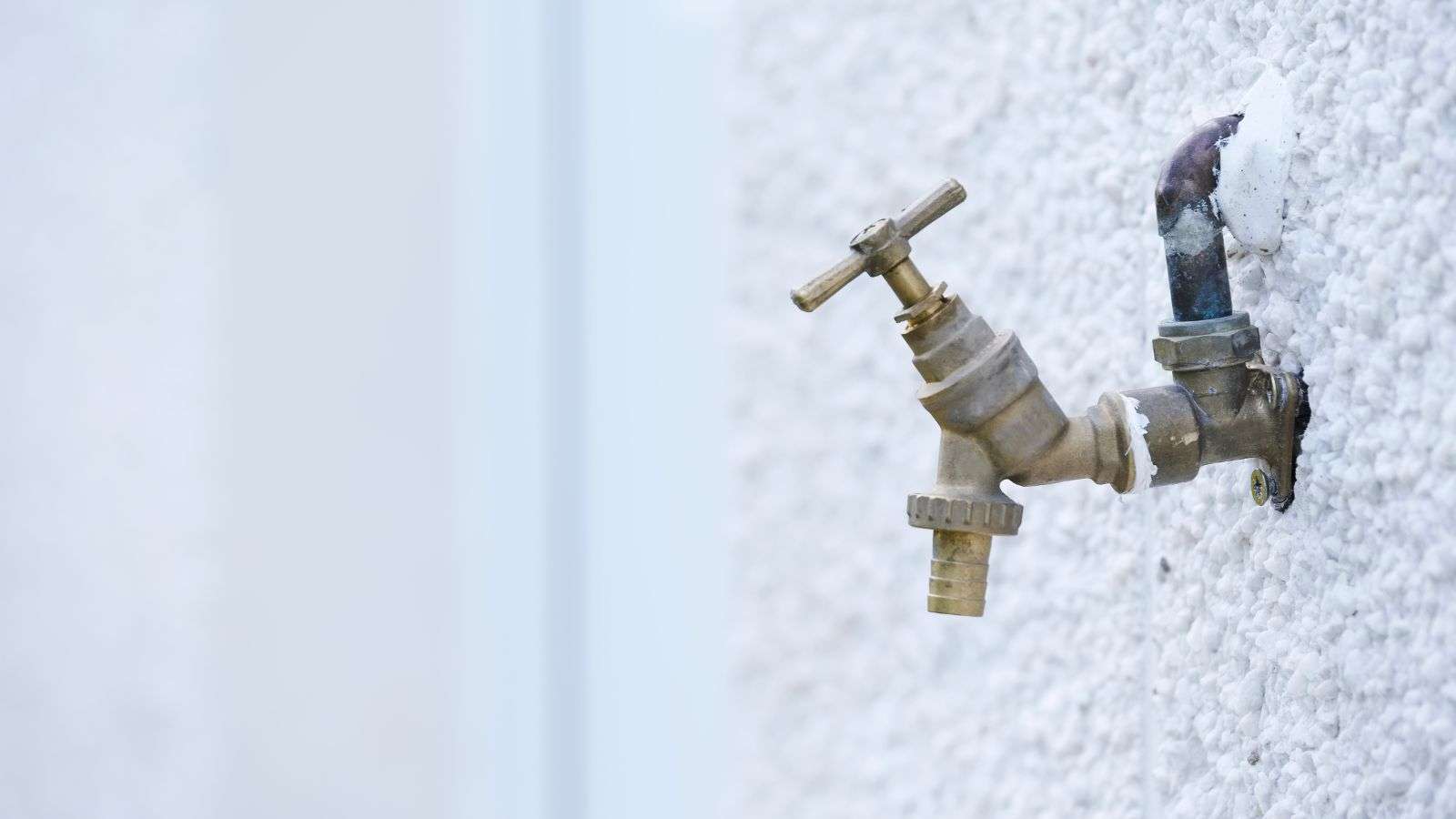 Top 10 Must-Know Tips for Keeping Roaches Away from Hose Bibs