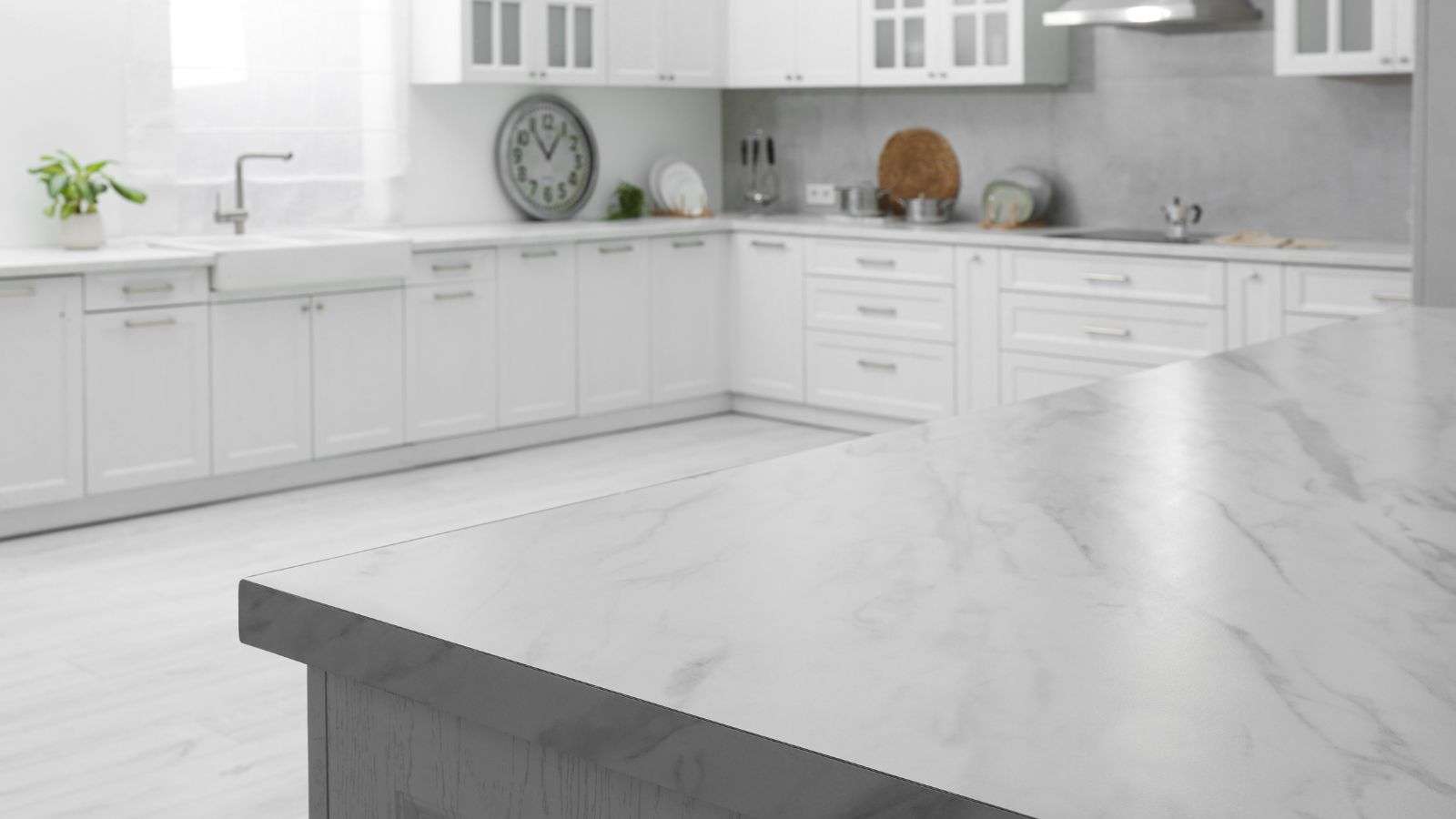 roach attracted to cracks in countertops - bighomeprojects.com