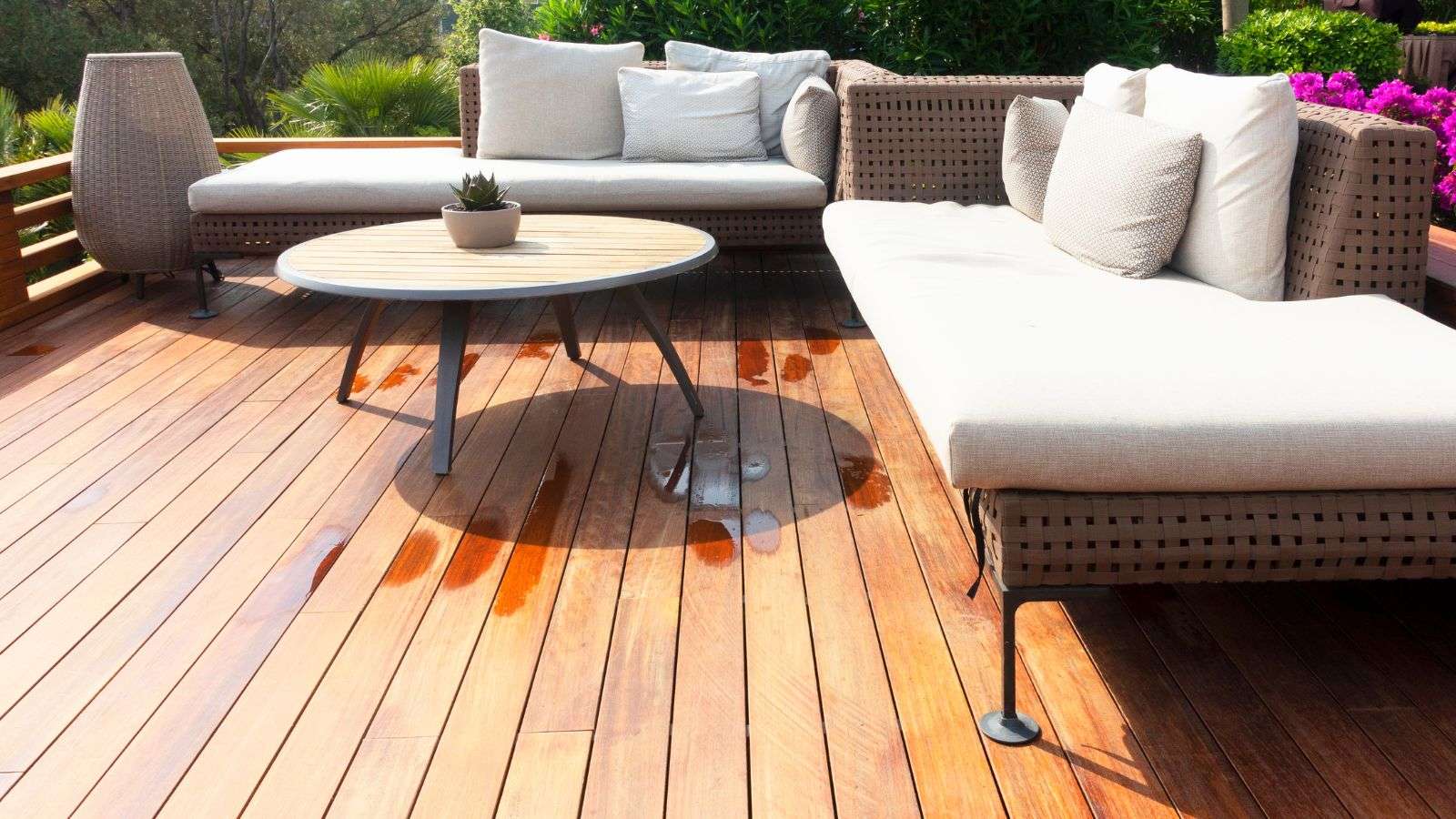 Roaches on Outdoor Furniture: 12 Effective Ways to Maintain a Pest-Free Zone