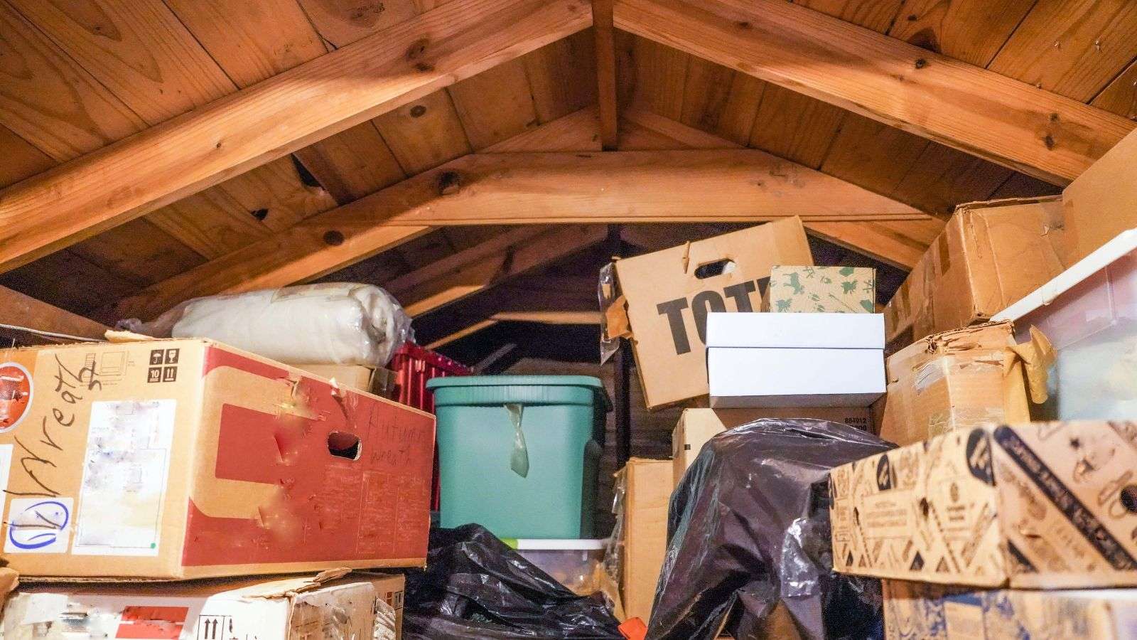 roach contamination in hard to reach attic corners - bighomeprojects.com