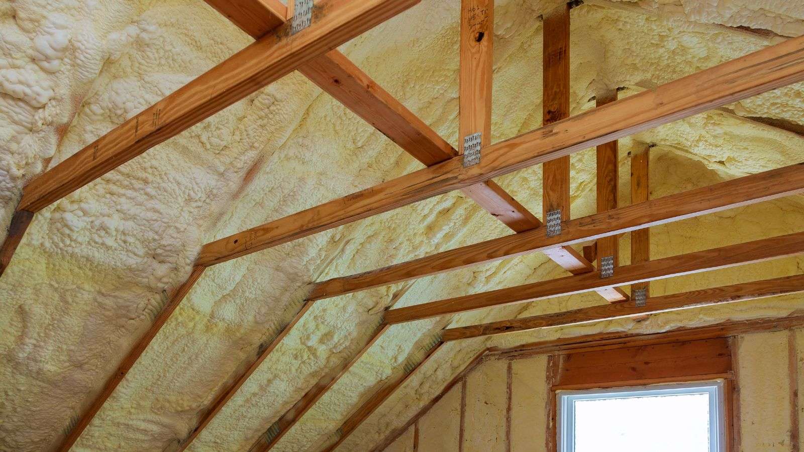 Roach Contamination on Attic Beams: 7 Remedial Measures