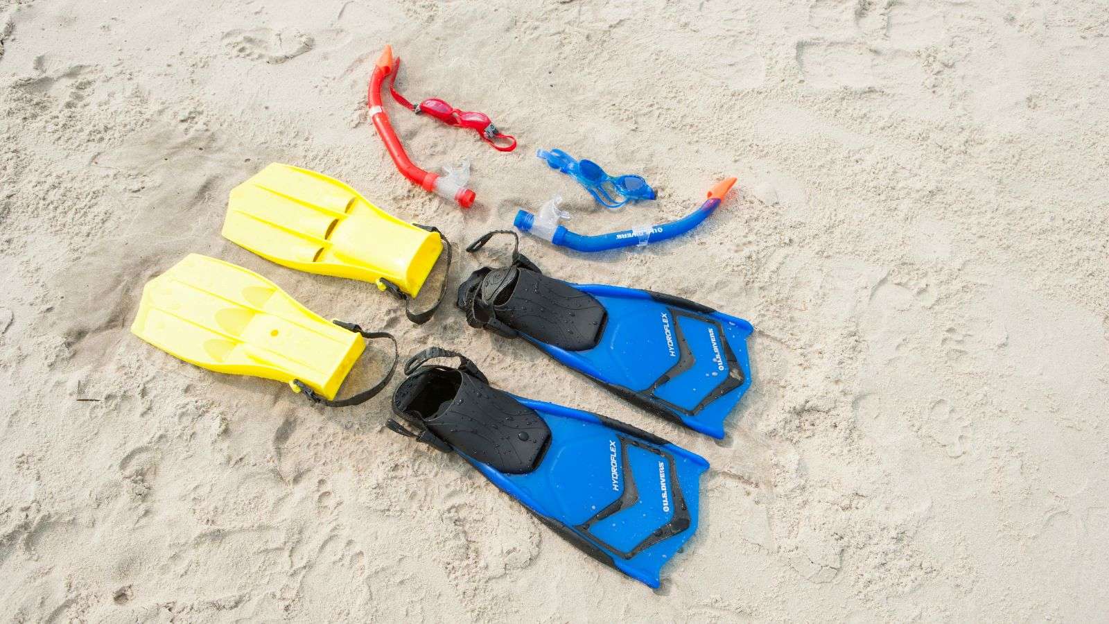 roach damage to beach gear - bighomeprojects.com