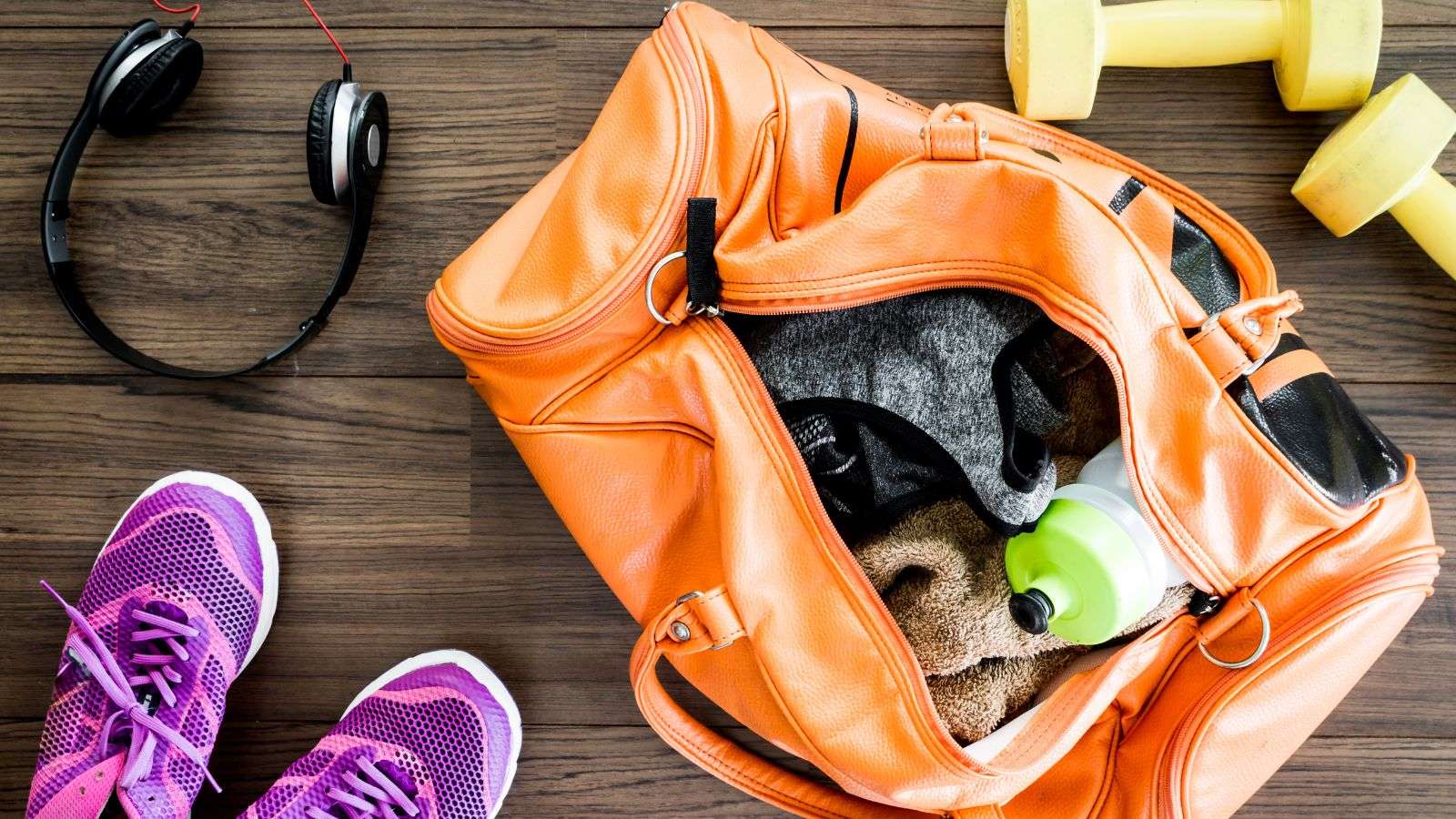 Roach Damage to Sporting Equipment Bags: 8 Effective Techniques
