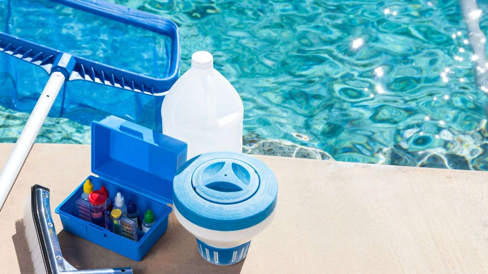 Roach Damage to Stored Pool Supplies: 8 Essential Steps to Protect Your Equipment