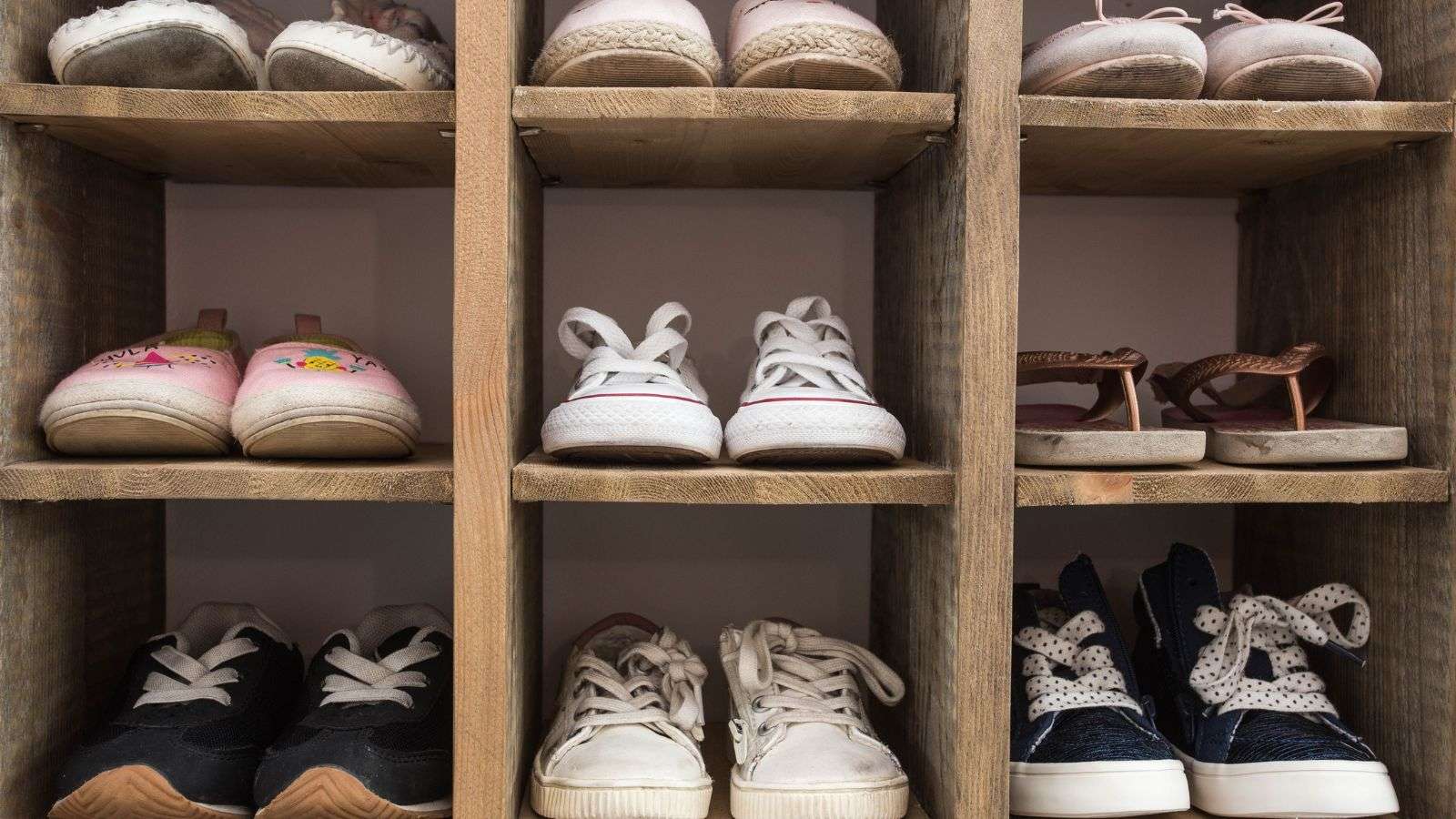 roach damage to stored shoes - bighomeprojects.com