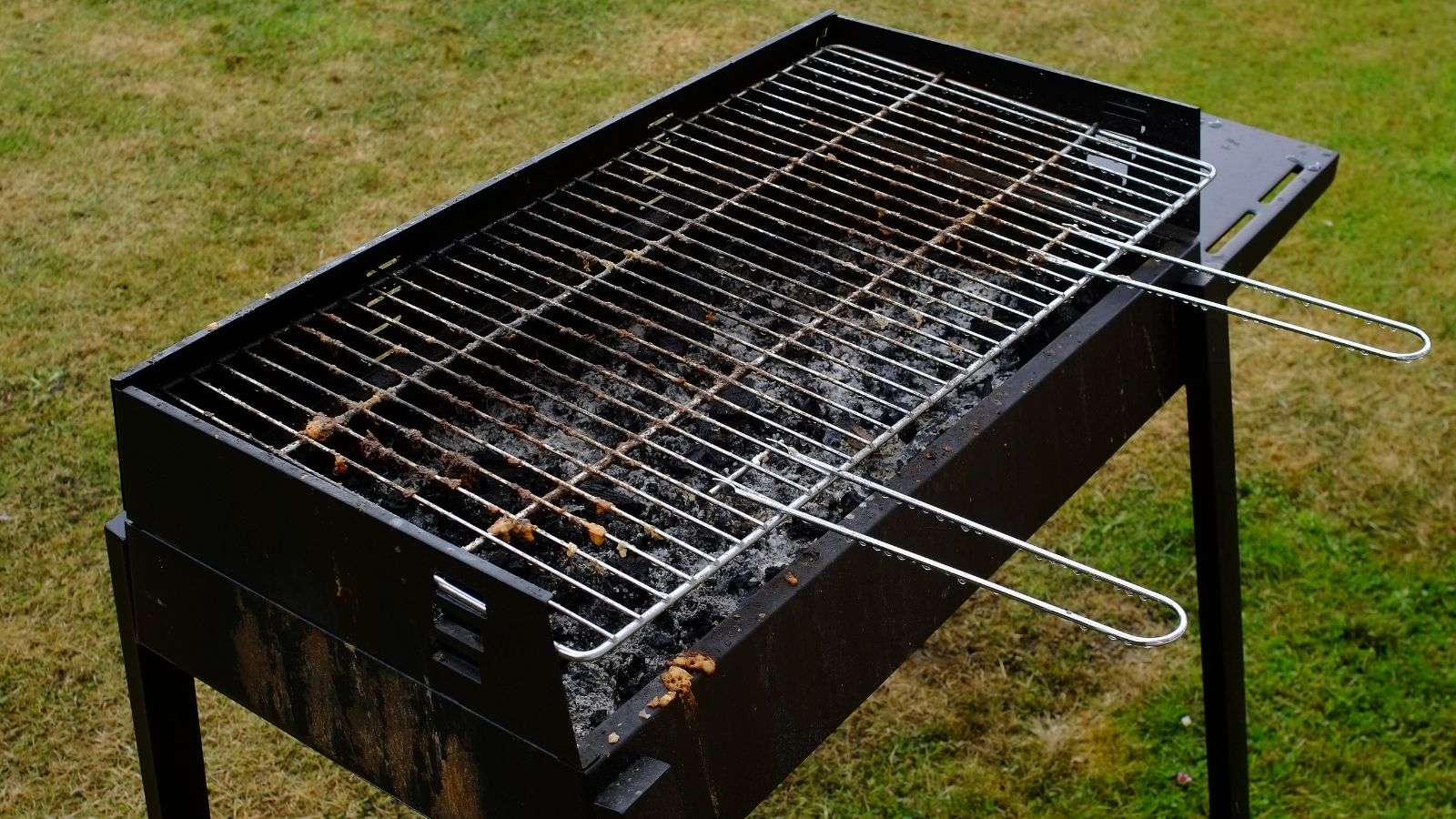 Roach in Barbecue Grills: 5 Steps to a Pest-Free Grilling Experience