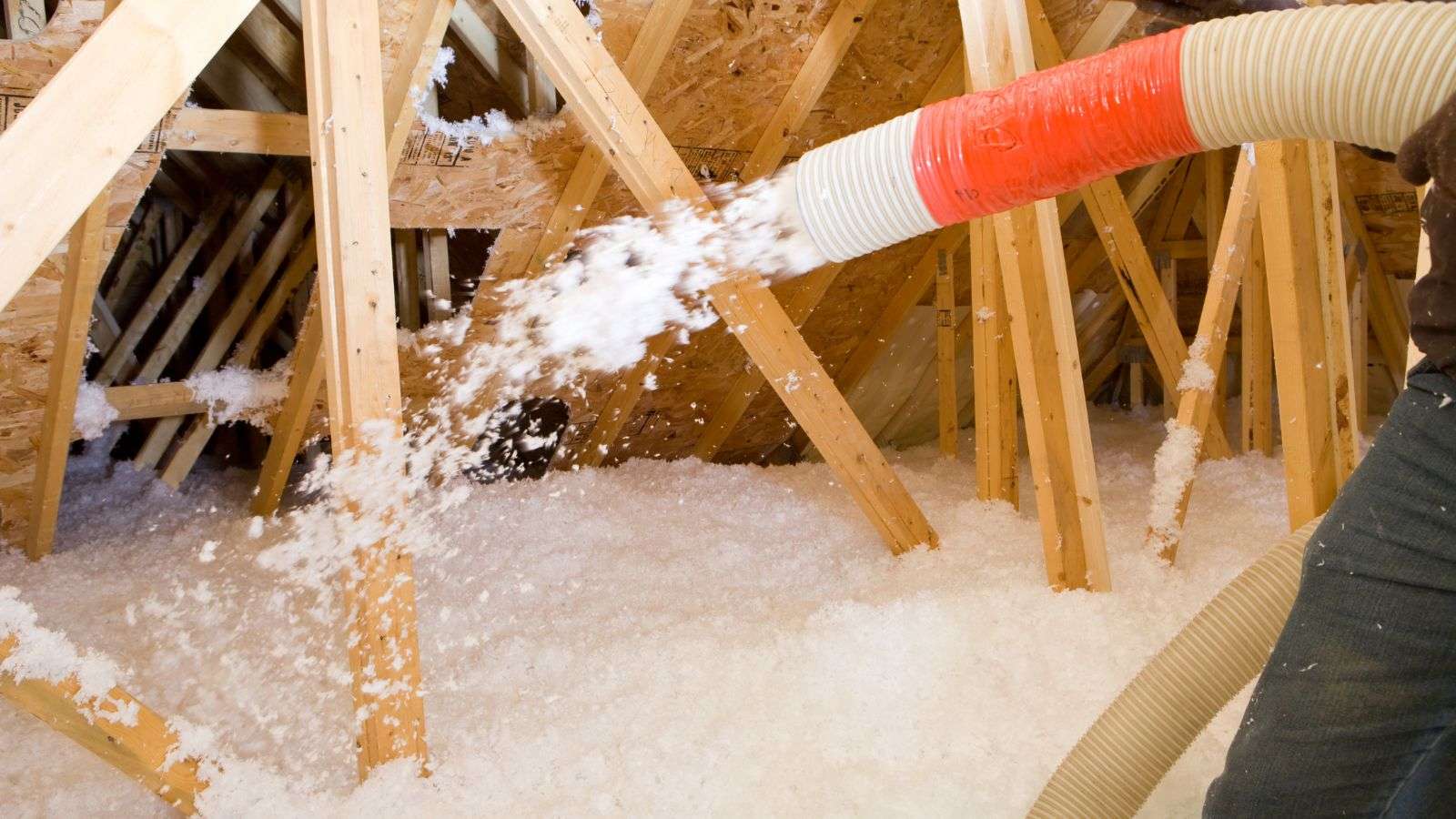 roach infestation in attic insulation - bighomeprojects.com