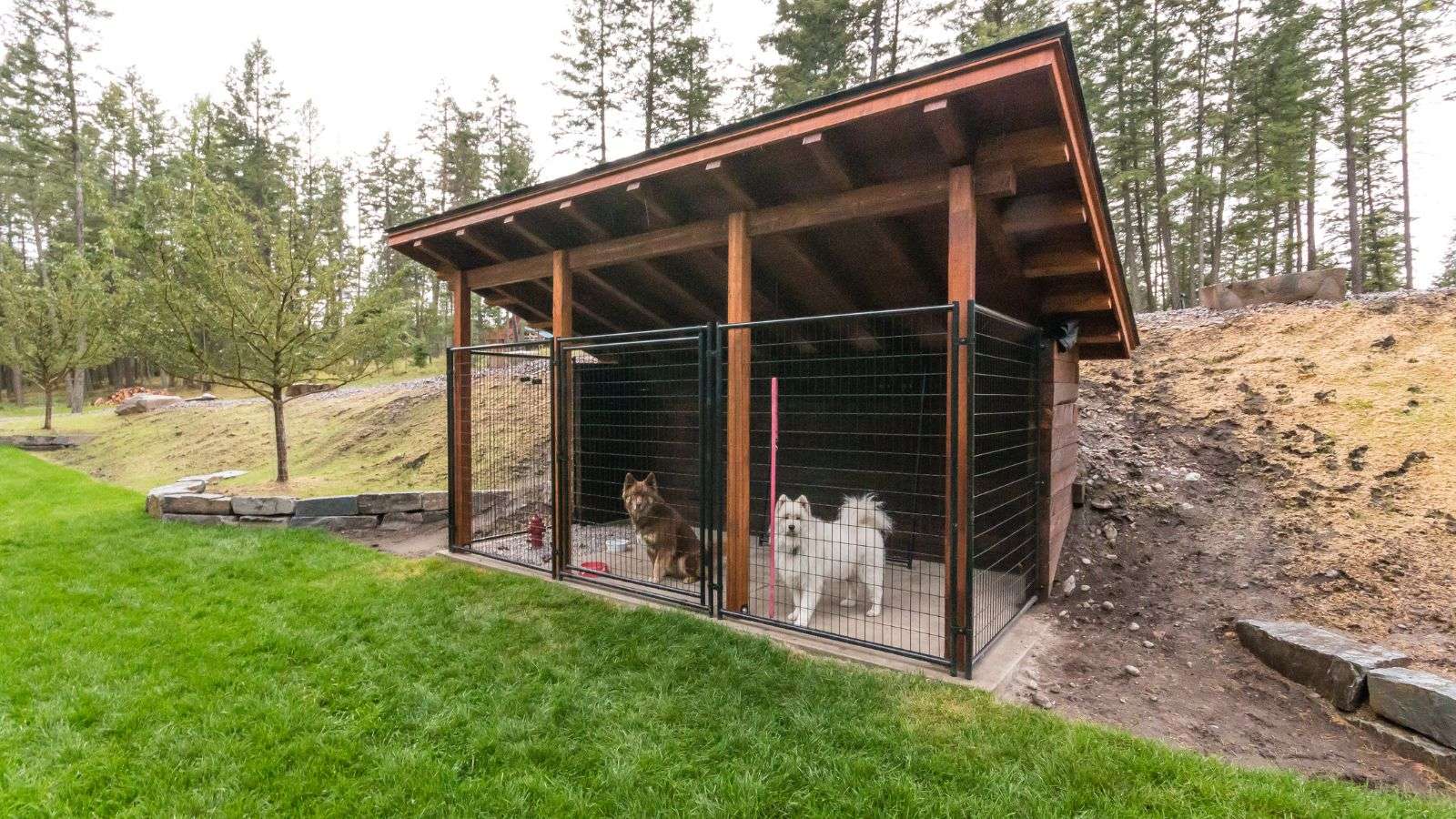 Roach Infestation in Outdoor Kennels: 7-Step Guide to Pest-Free Zones