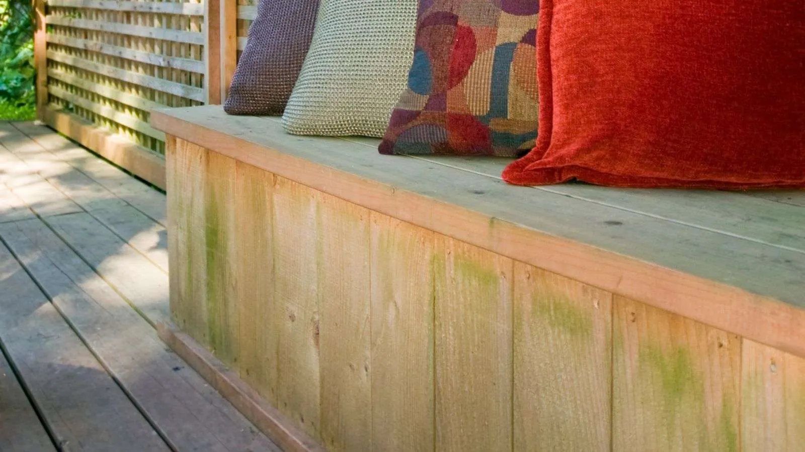 roach infestation in outdoor storage benches - bighomeprojects.com
