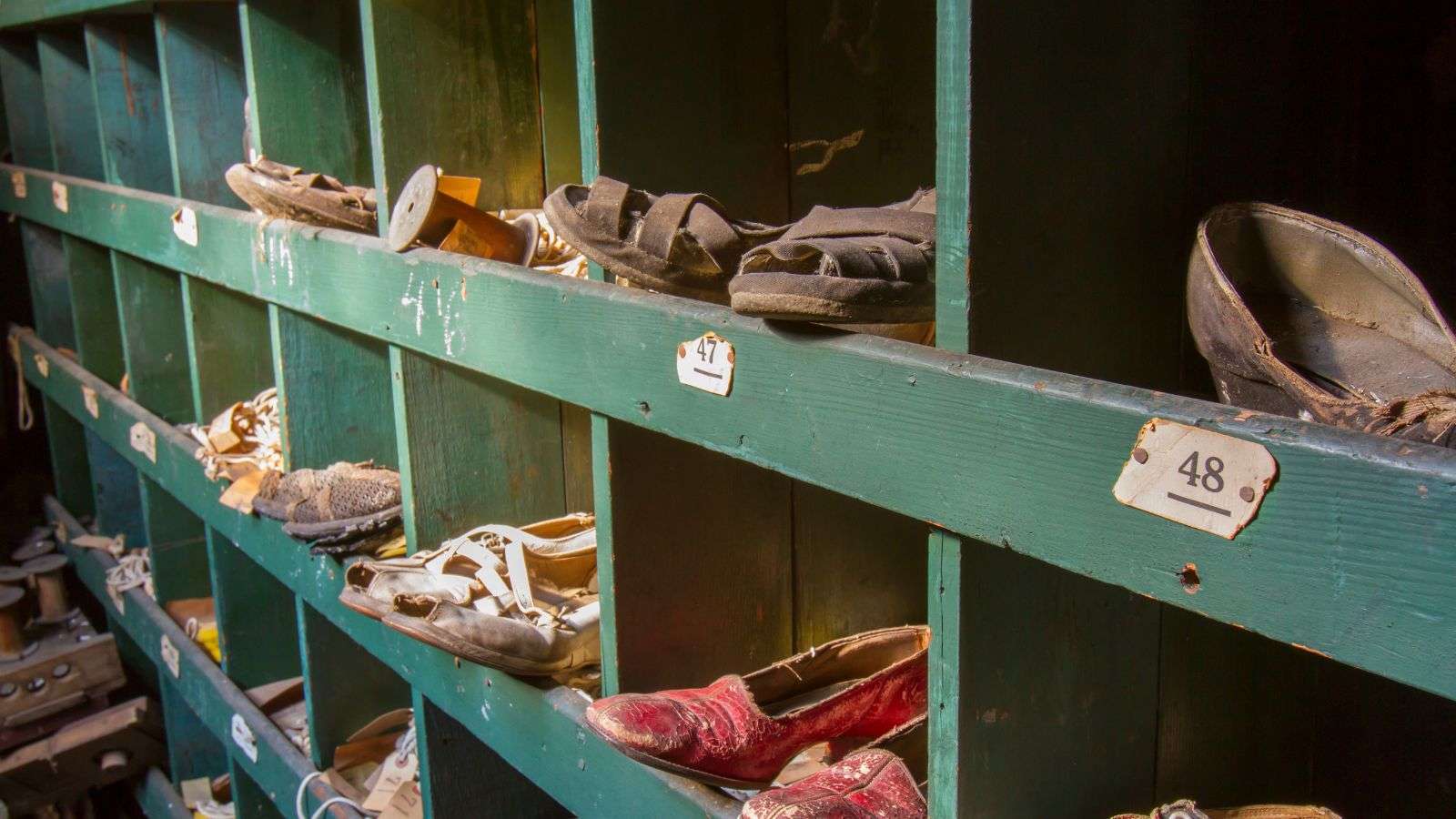 Roach Infestation in Overlooked Storage Cubbies: 11 Essential Steps