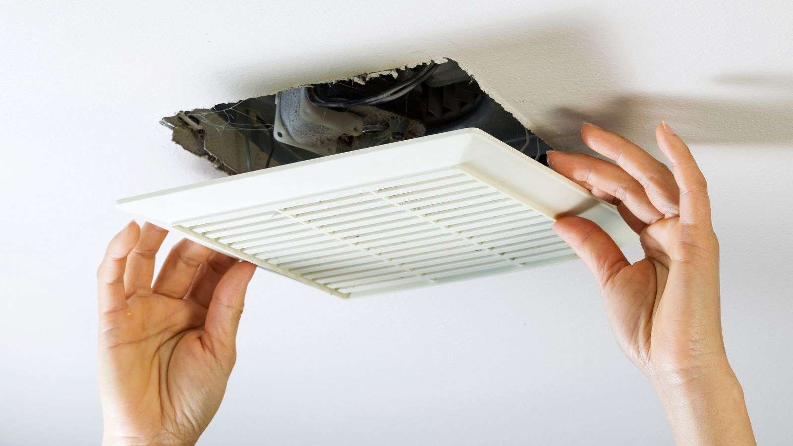roach infiltration through rarely cleaned bathroom vents - bighomeprojects.com