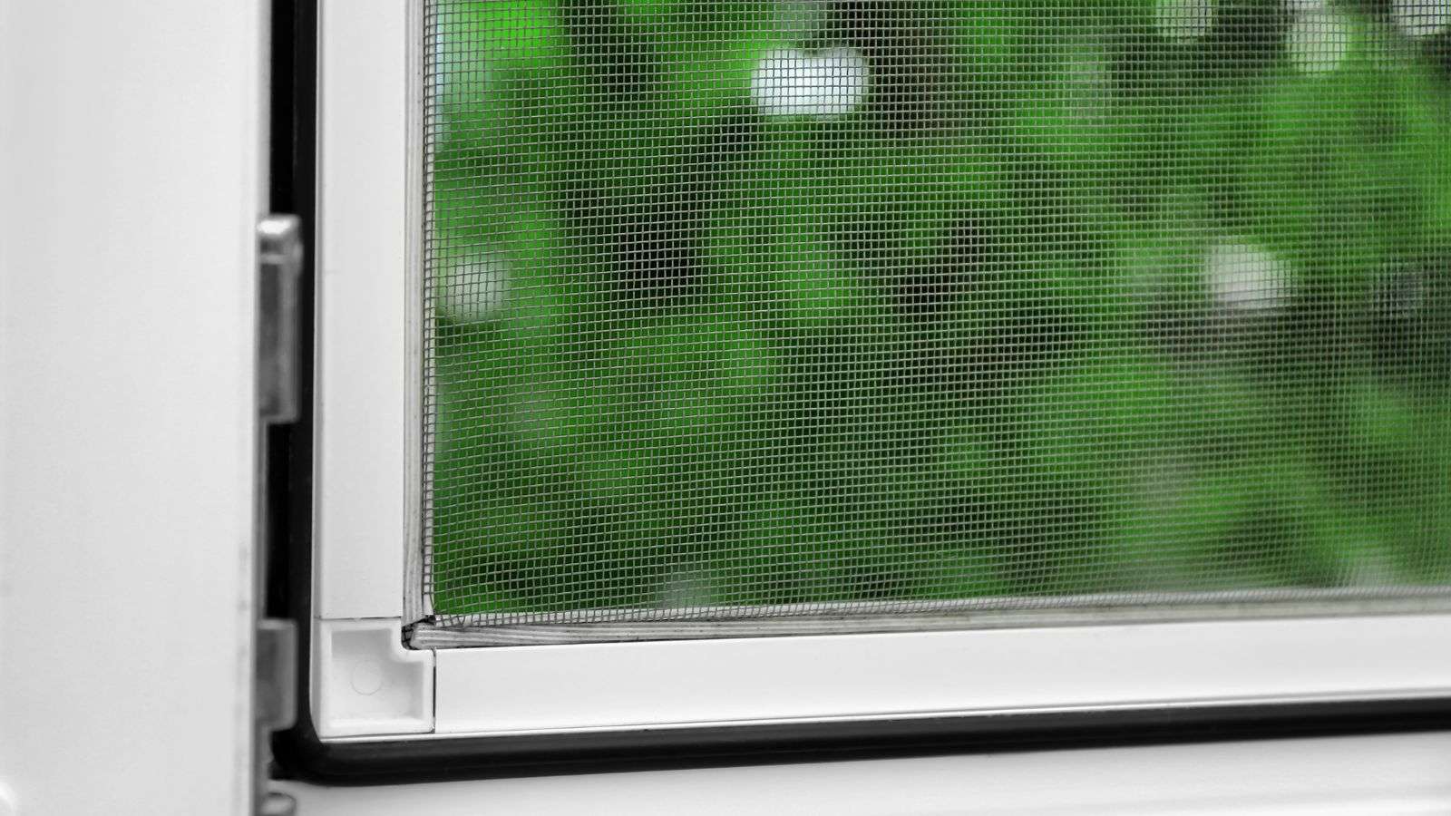 Roach Infiltration Through Window Screens: 5 Crucial Facts to Know