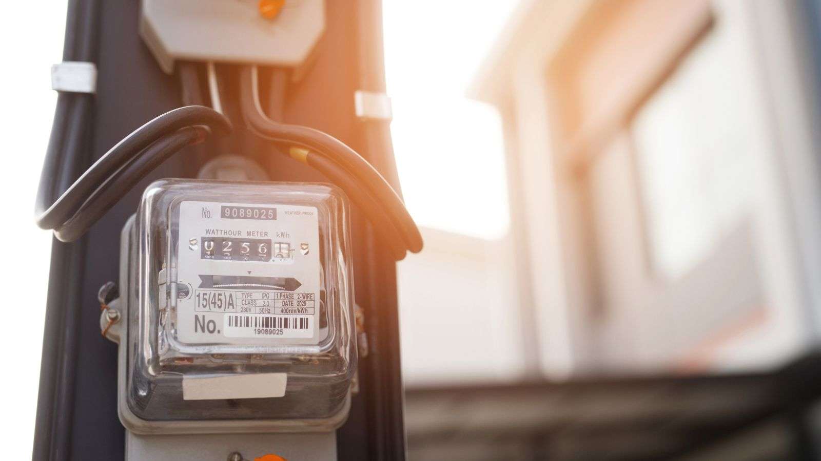 roaches around outdoor utility meters - bighomeprojects.com