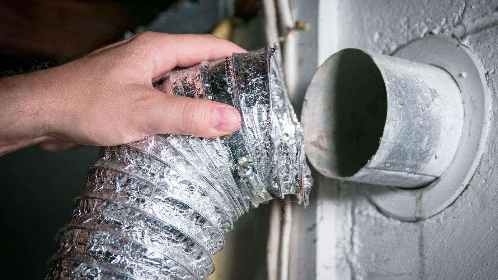 roaches found in basement vents - bighomeprojects.com