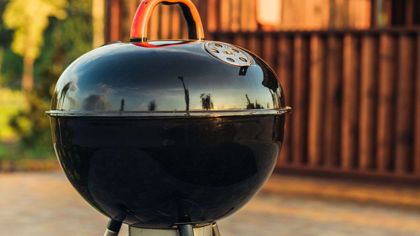 roaches found in outdoor grills - bighomeprojects.com