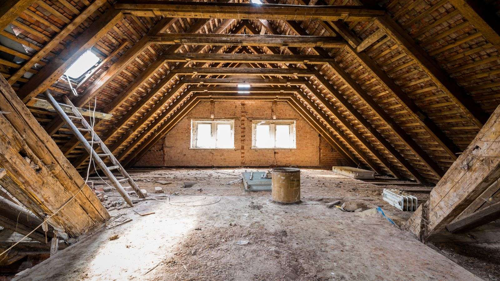 roaches in attic rafters - bighomeprojects.com