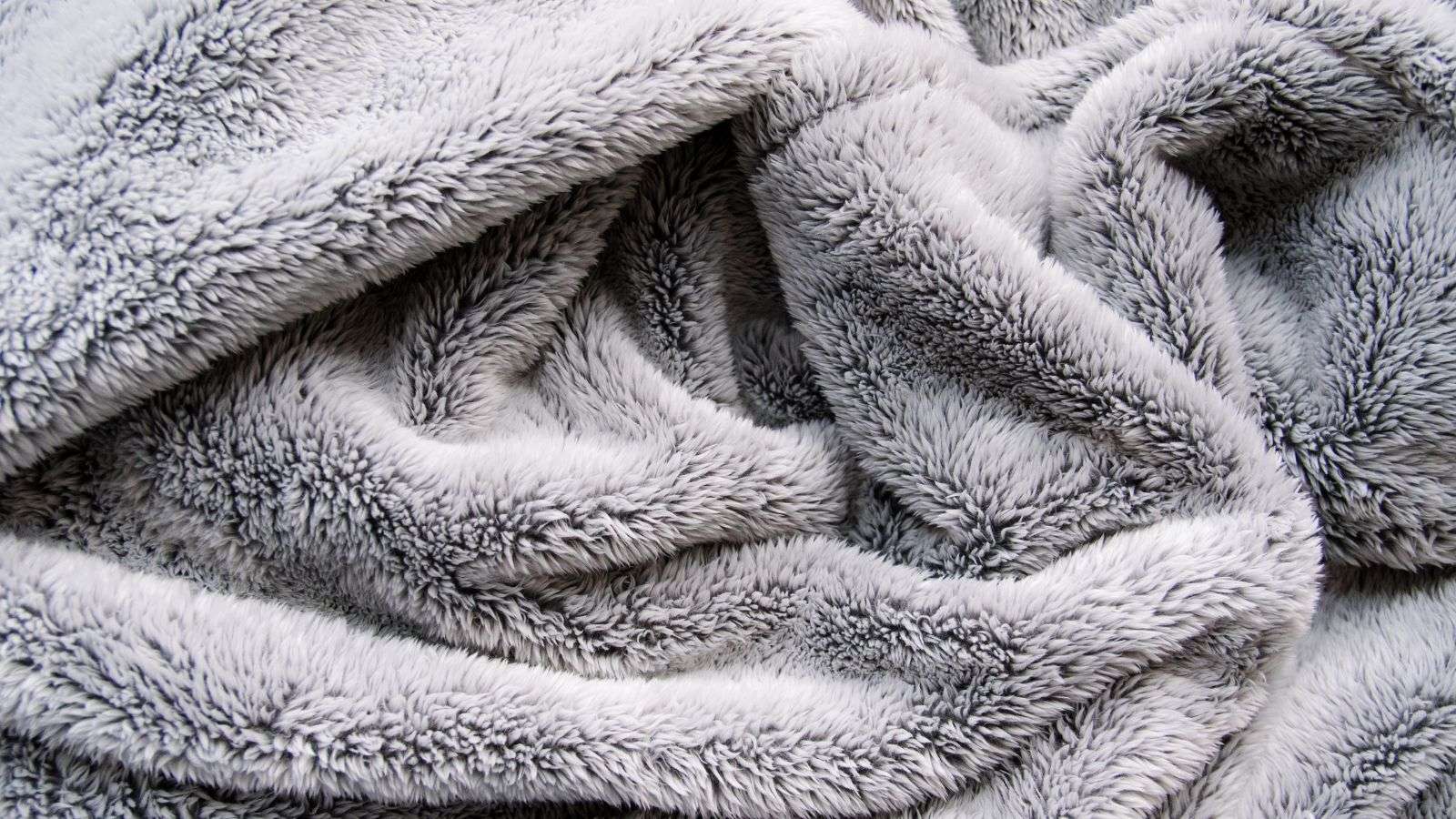 Roaches in Outdoor Blankets: 5 Essential Tips for Protection
