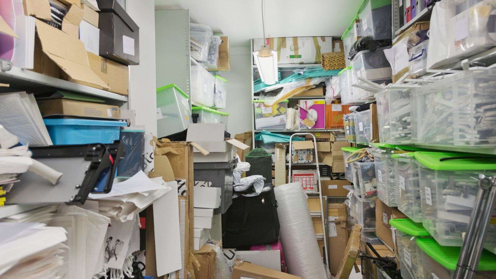 roaches in storage closets - bighomeprojects.com