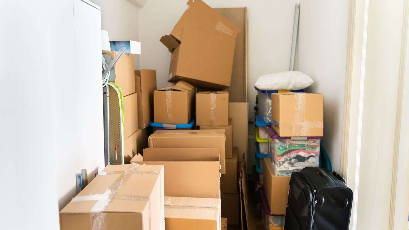Roaches in Underused Storage Rooms: 11 Proactive Prevention Steps