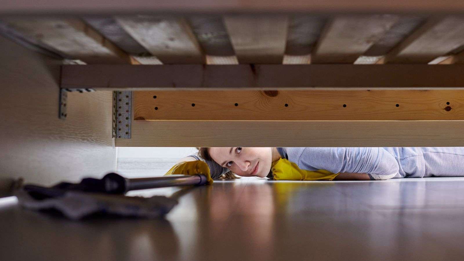 roaches nesting under furniture - bighomeprojects.com