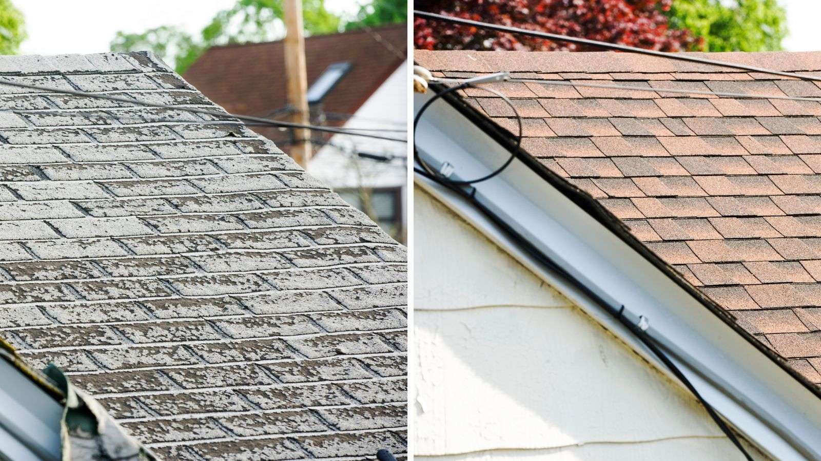 Before and After Photos on Big Home Projects: 7 Ways They Transform Your Business Visibility