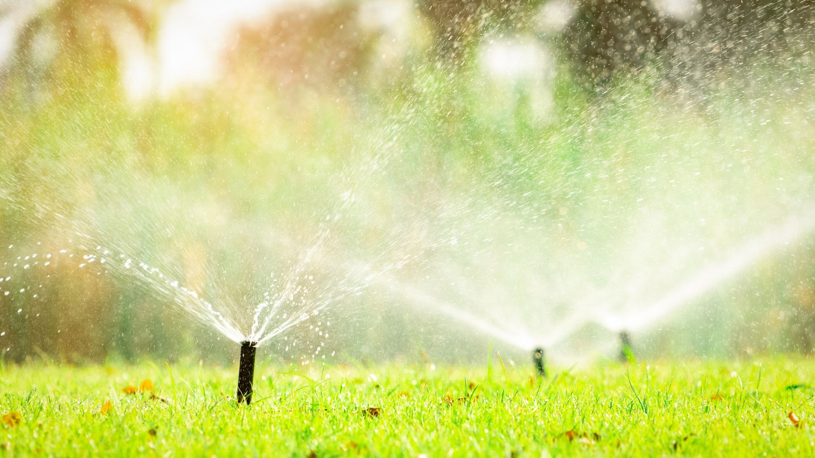 Can landscapers provide a garden irrigation system - bighomeprojects.com