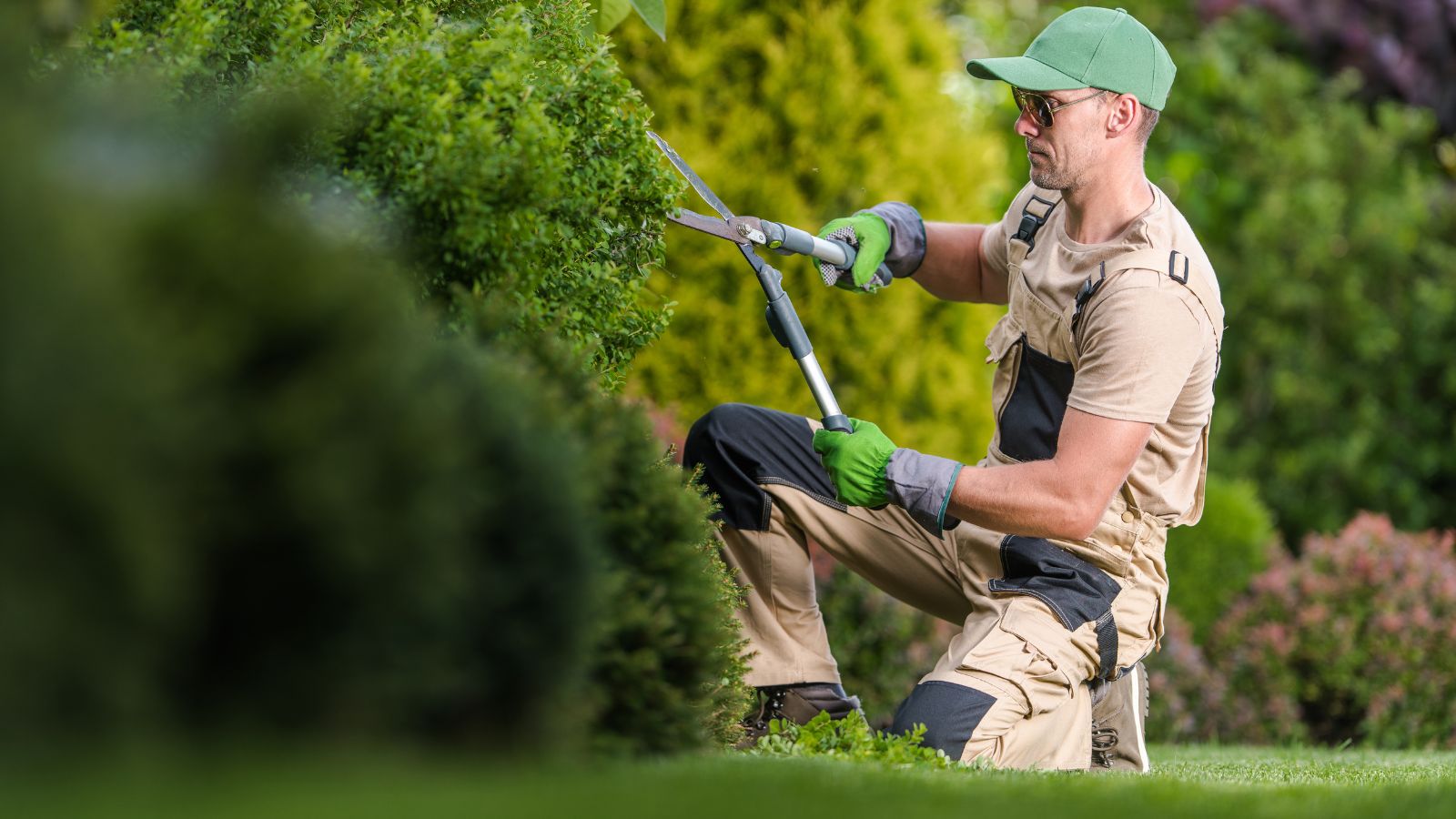 How often should landscape maintenance be performed - bighomeprojects.com