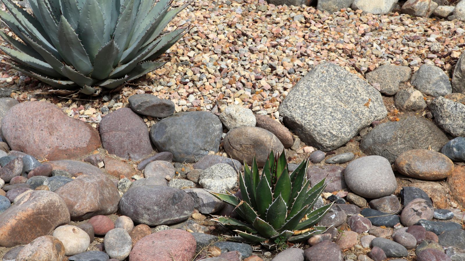 What is xeriscaping and is it right for my property - bighomeprojects.com