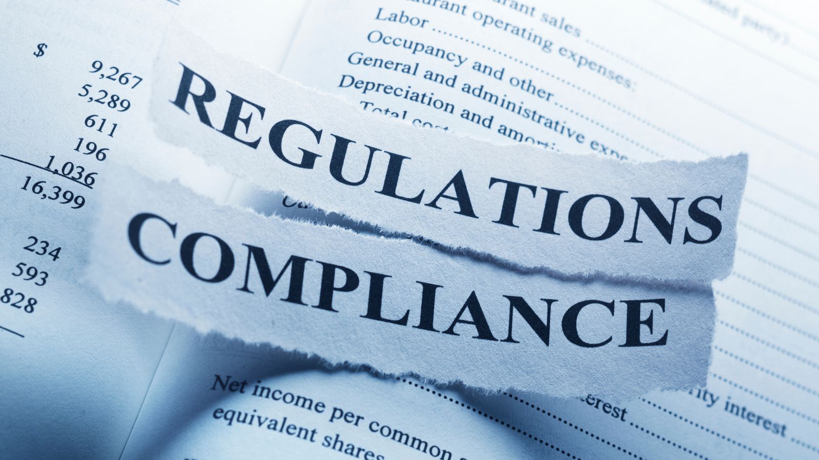 What regulations must be considered before starting a landscaping project - bighomeprojects.com
