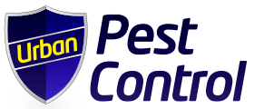 logo 3 1